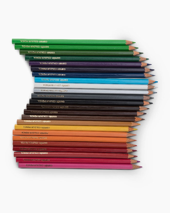 Camel COLOUR PENCIL FULL SIZED (24 Shades)