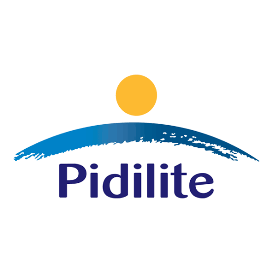 PIDILITE FEVICOL