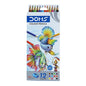 Doms FULL SIZE 12 Shades Pencil Colour