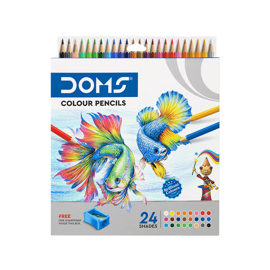 Doms FULL SIZE 24 Shades Pencil Colour
