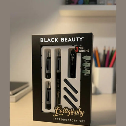 Artline Black Beauty Calligraphy Fountain Pen