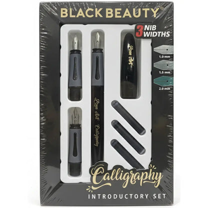 Artline Black Beauty Calligraphy Fountain Pen